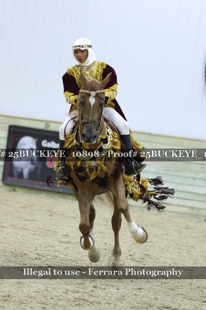 Proof Number 25BUCKEYE_10898