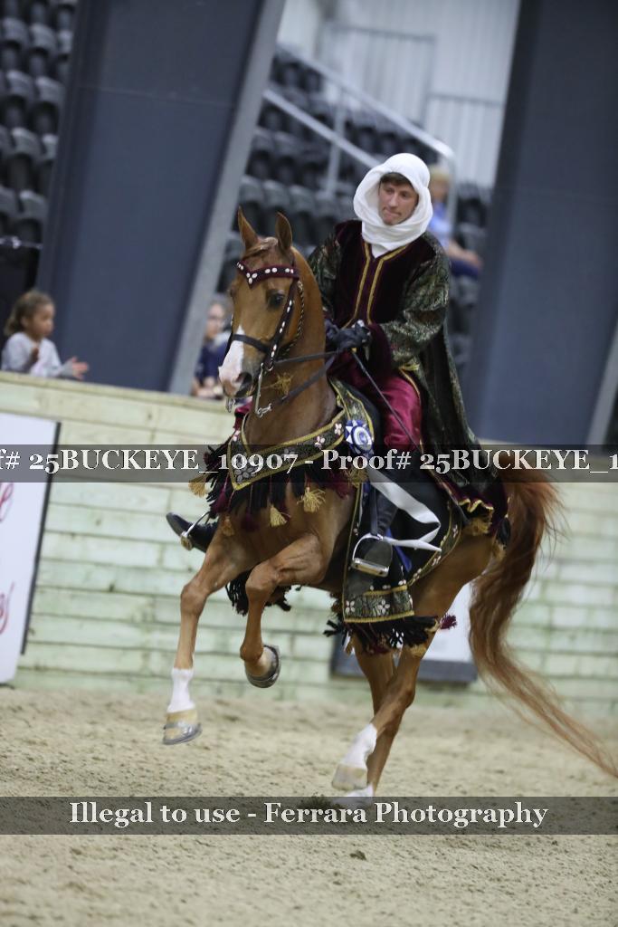 Proof Number 25BUCKEYE_10907
