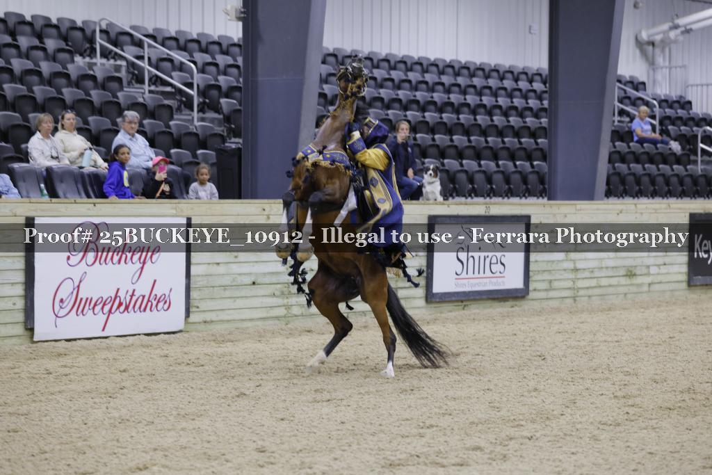 Proof Number 25BUCKEYE_10912