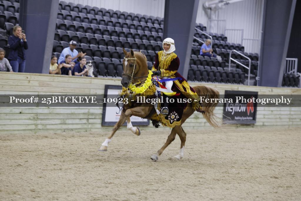 Proof Number 25BUCKEYE_10923