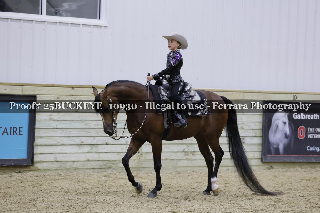 Proof Number 25BUCKEYE_10930