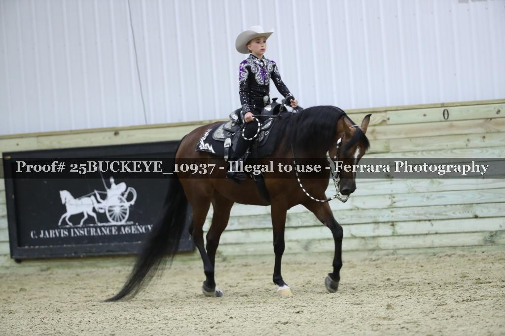 Proof Number 25BUCKEYE_10937