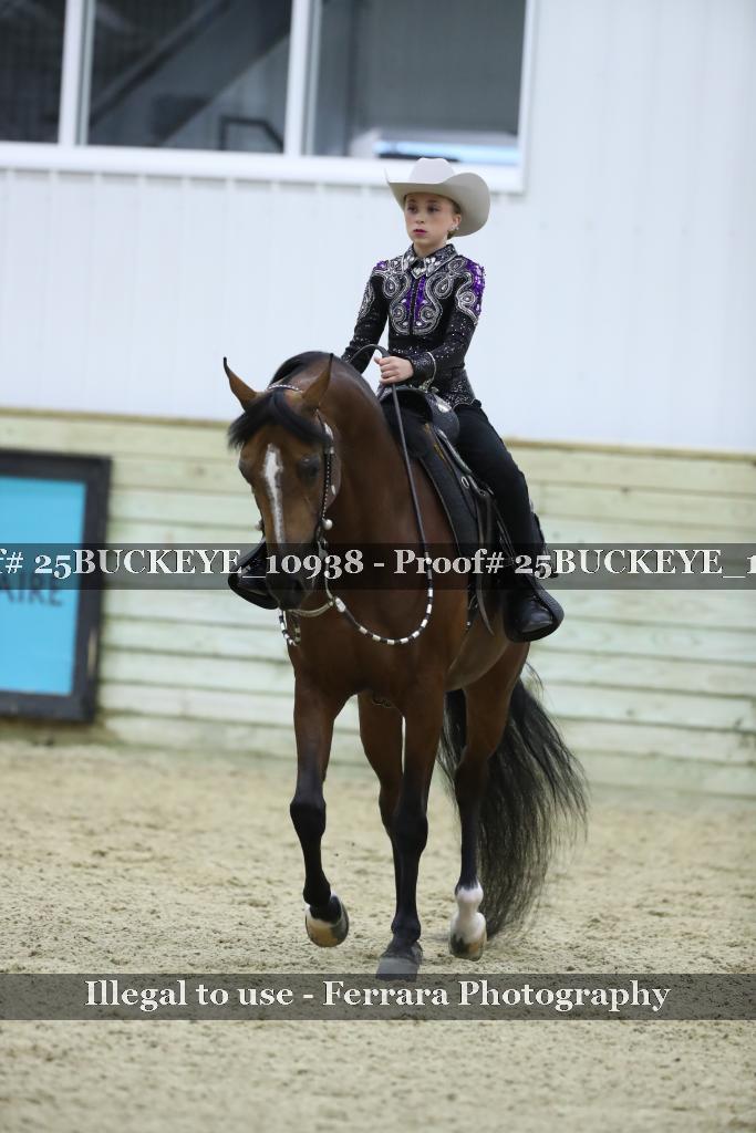 Proof Number 25BUCKEYE_10938