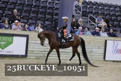25BUCKEYE_10951 thumbnail