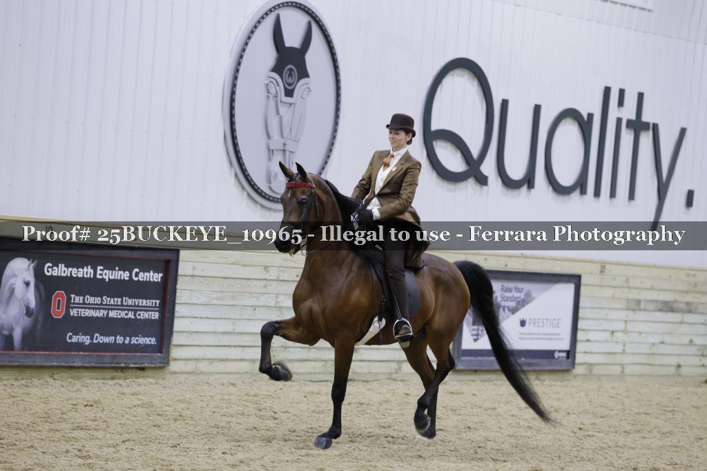 Proof Number 25BUCKEYE_10965