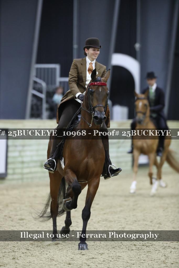 Proof Number 25BUCKEYE_10968
