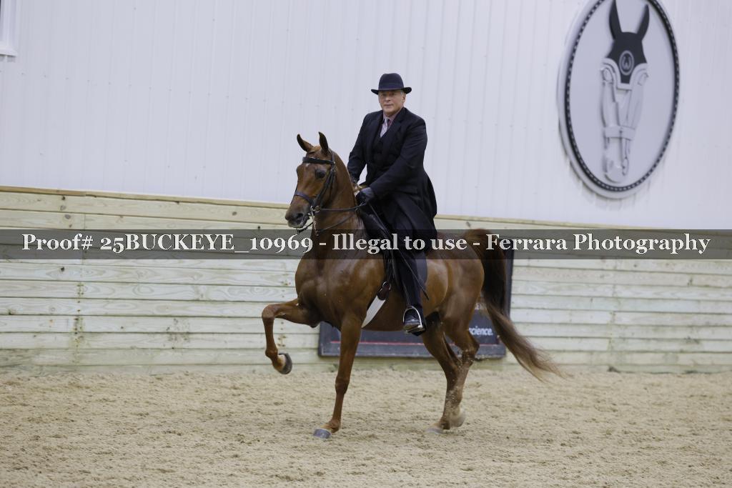 Proof Number 25BUCKEYE_10969