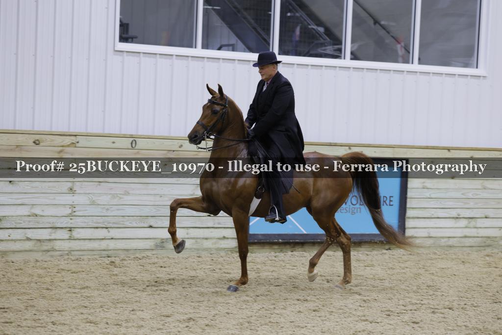 Proof Number 25BUCKEYE_10970