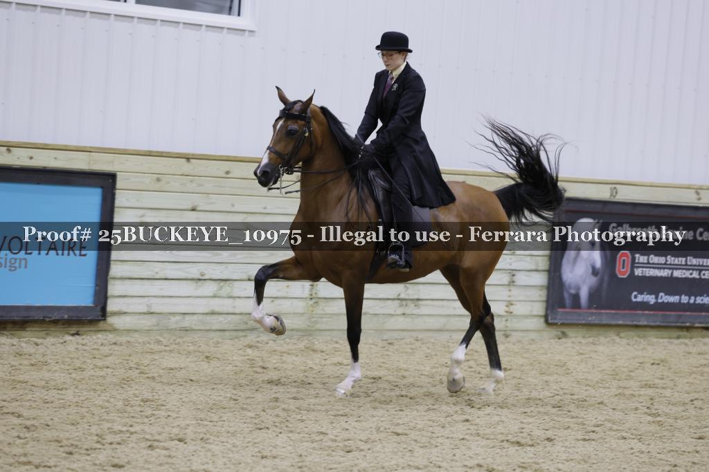 Proof Number 25BUCKEYE_10975