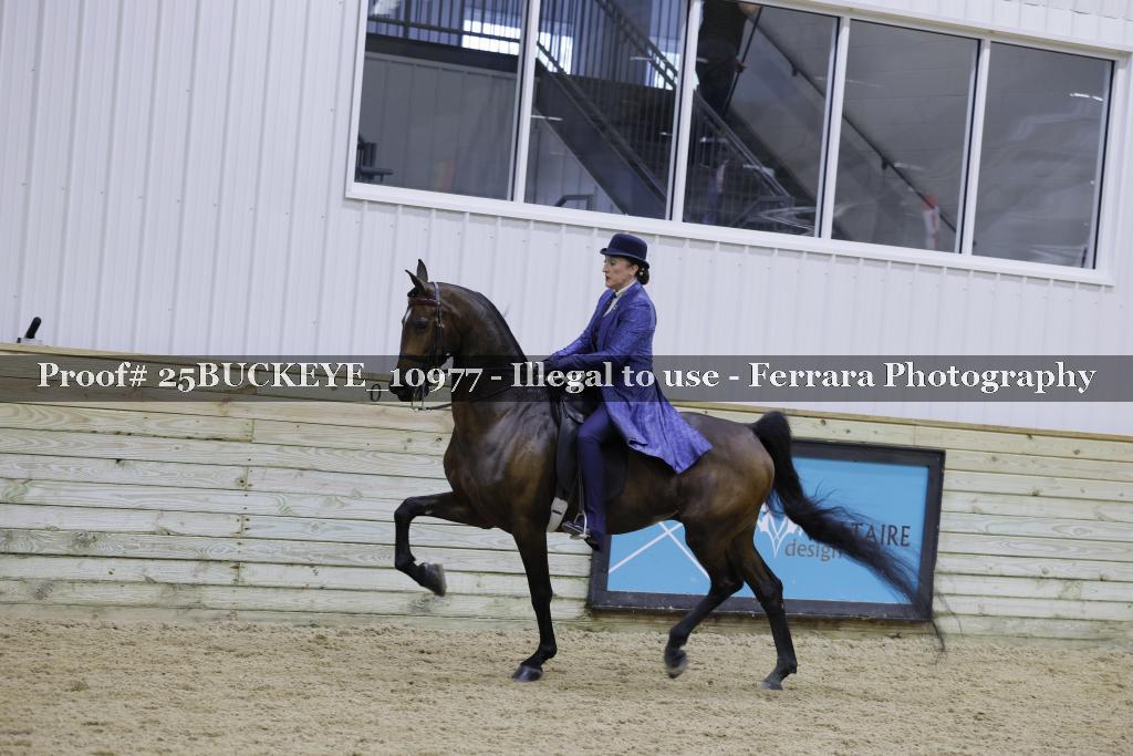 Proof Number 25BUCKEYE_10977