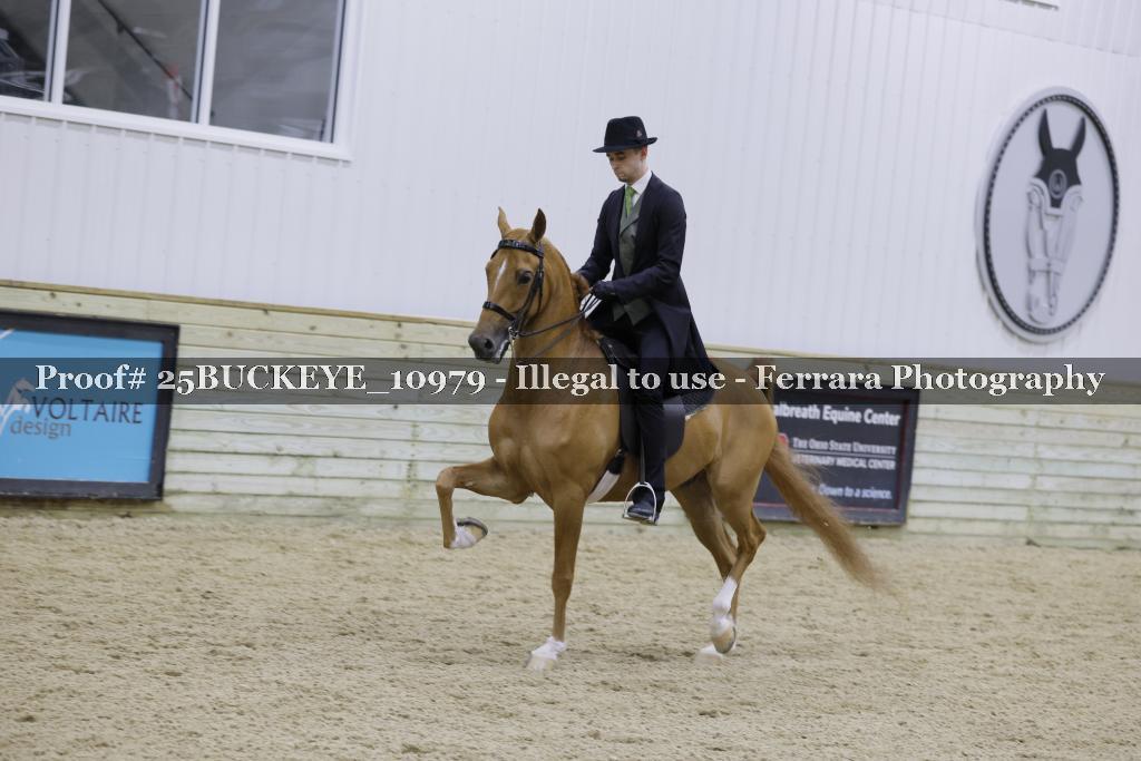 Proof Number 25BUCKEYE_10979