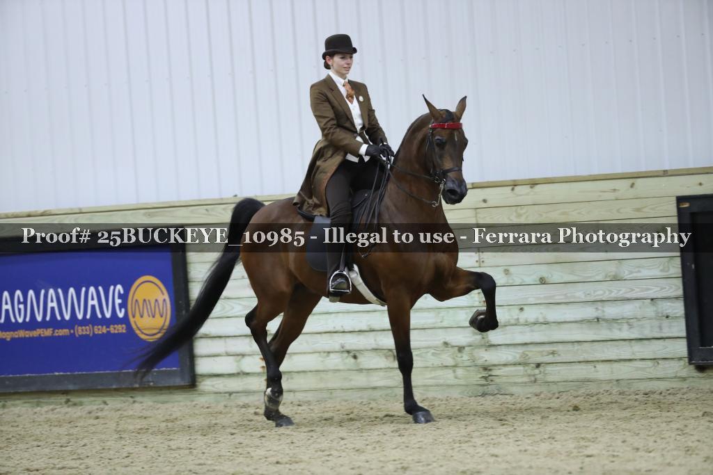 Proof Number 25BUCKEYE_10985