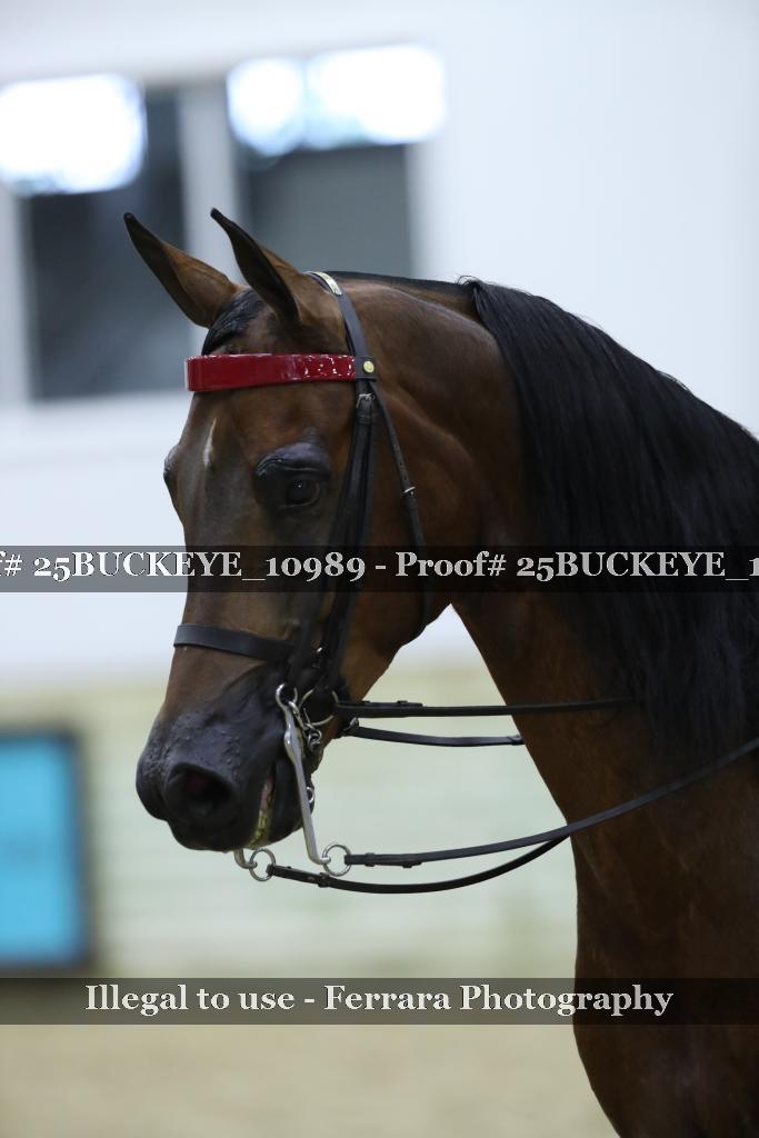 Proof Number 25BUCKEYE_10989