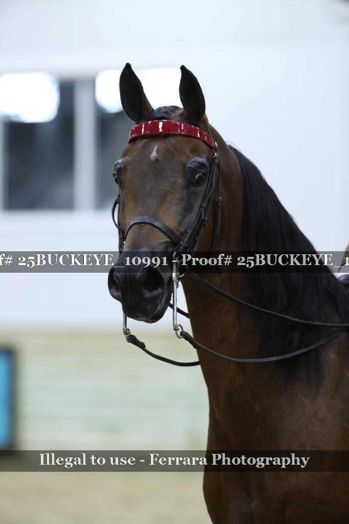Proof Number 25BUCKEYE_10991