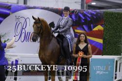 25BUCKEYE_10995 thumbnail