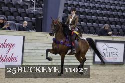 25BUCKEYE_11027 thumbnail