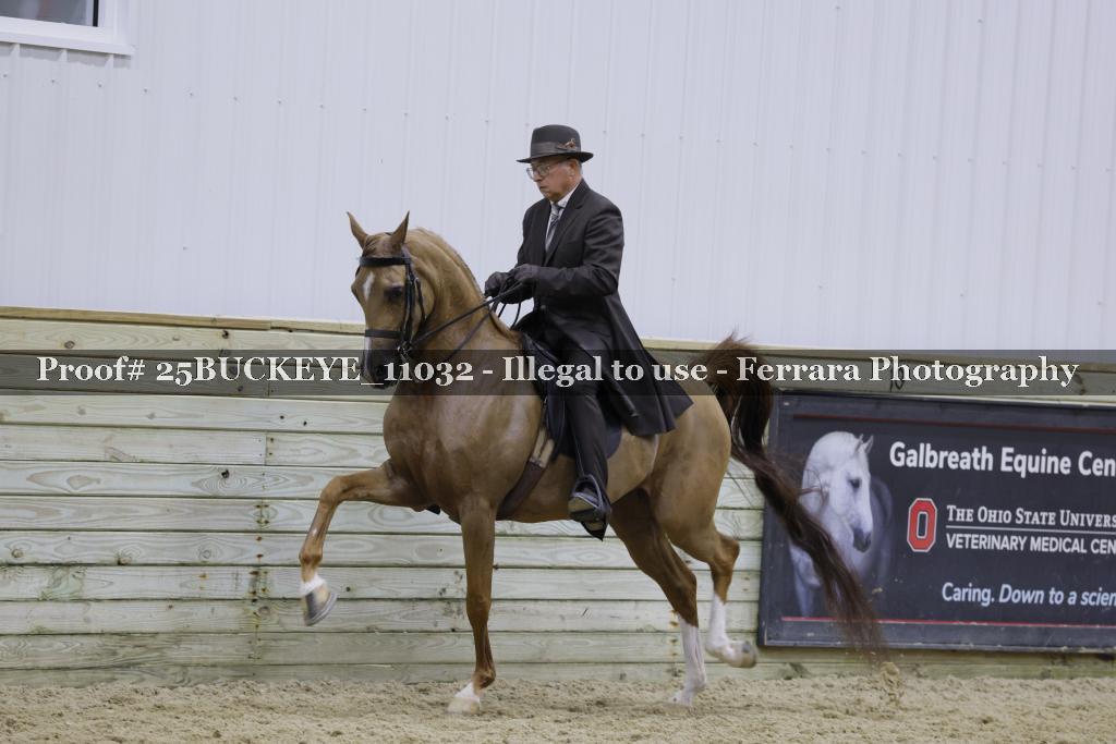 Proof Number 25BUCKEYE_11032