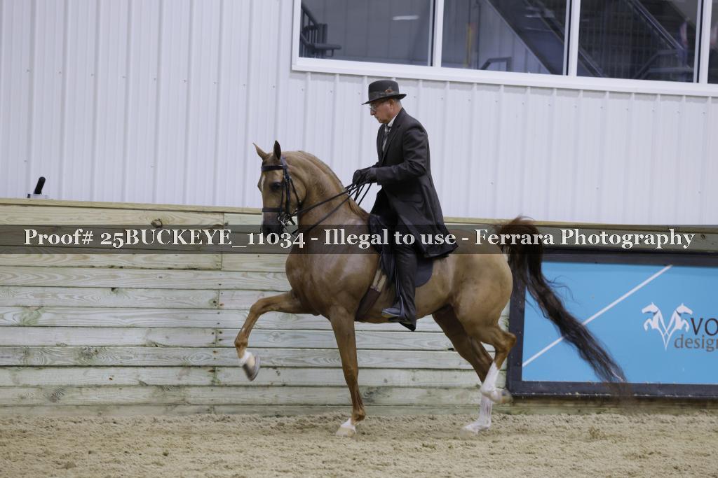 Proof Number 25BUCKEYE_11034