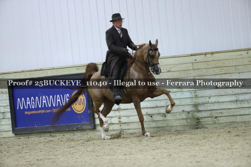 Proof Number 25BUCKEYE_11040