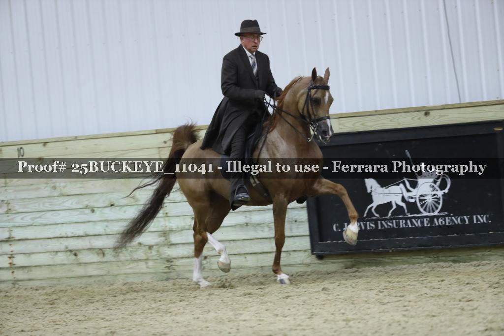 Proof Number 25BUCKEYE_11041