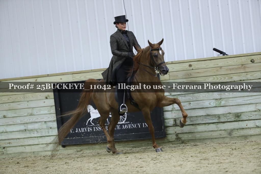 Proof Number 25BUCKEYE_11042