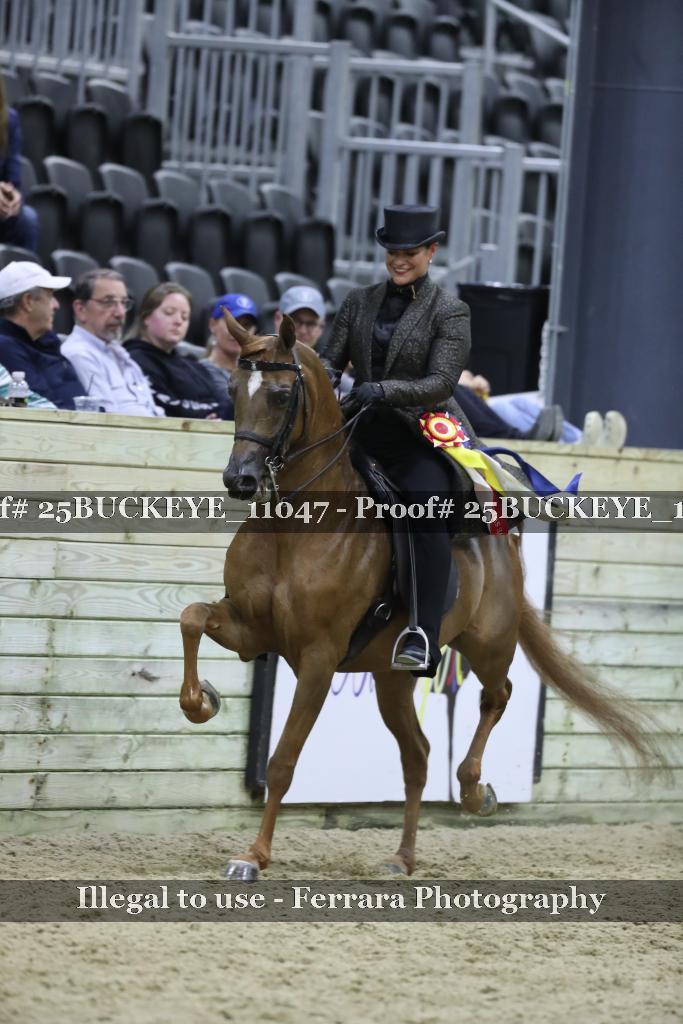Proof Number 25BUCKEYE_11047