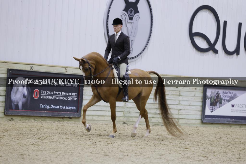 Proof Number 25BUCKEYE_11060