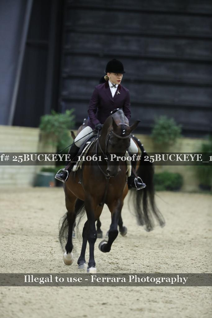 Proof Number 25BUCKEYE_11061