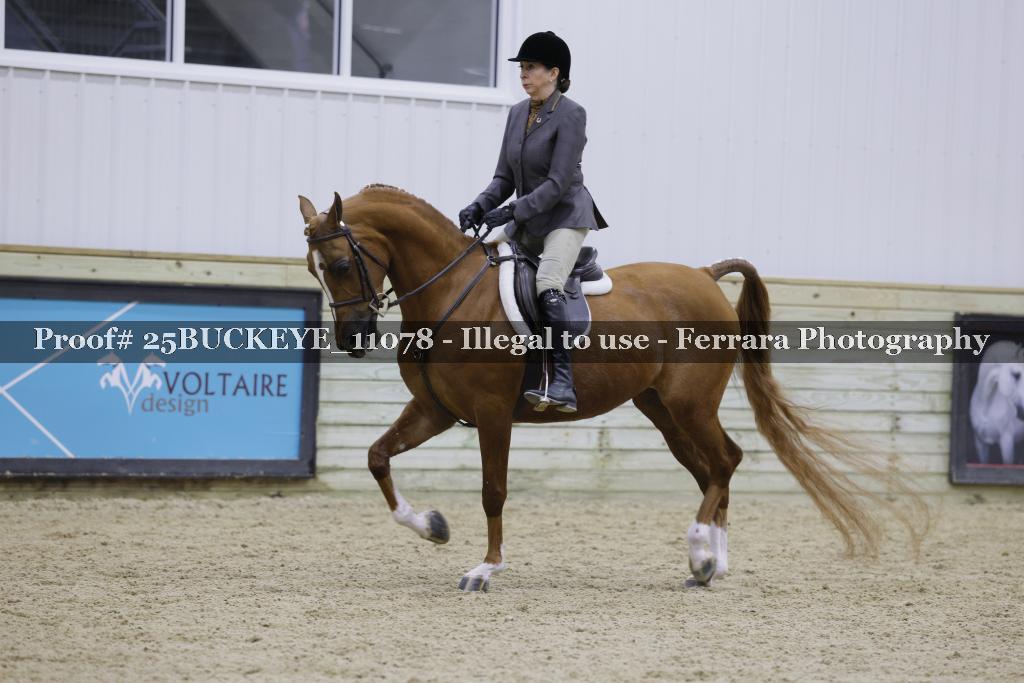 Proof Number 25BUCKEYE_11078