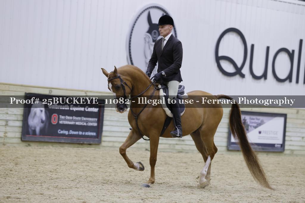 Proof Number 25BUCKEYE_11082