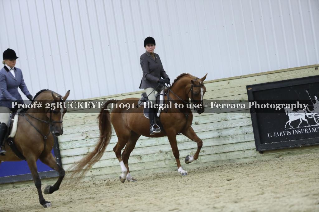 Proof Number 25BUCKEYE_11091