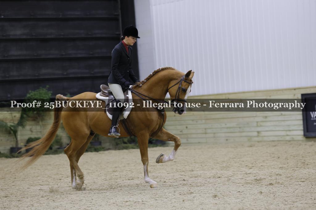 Proof Number 25BUCKEYE_11092