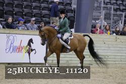25BUCKEYE_11120 thumbnail