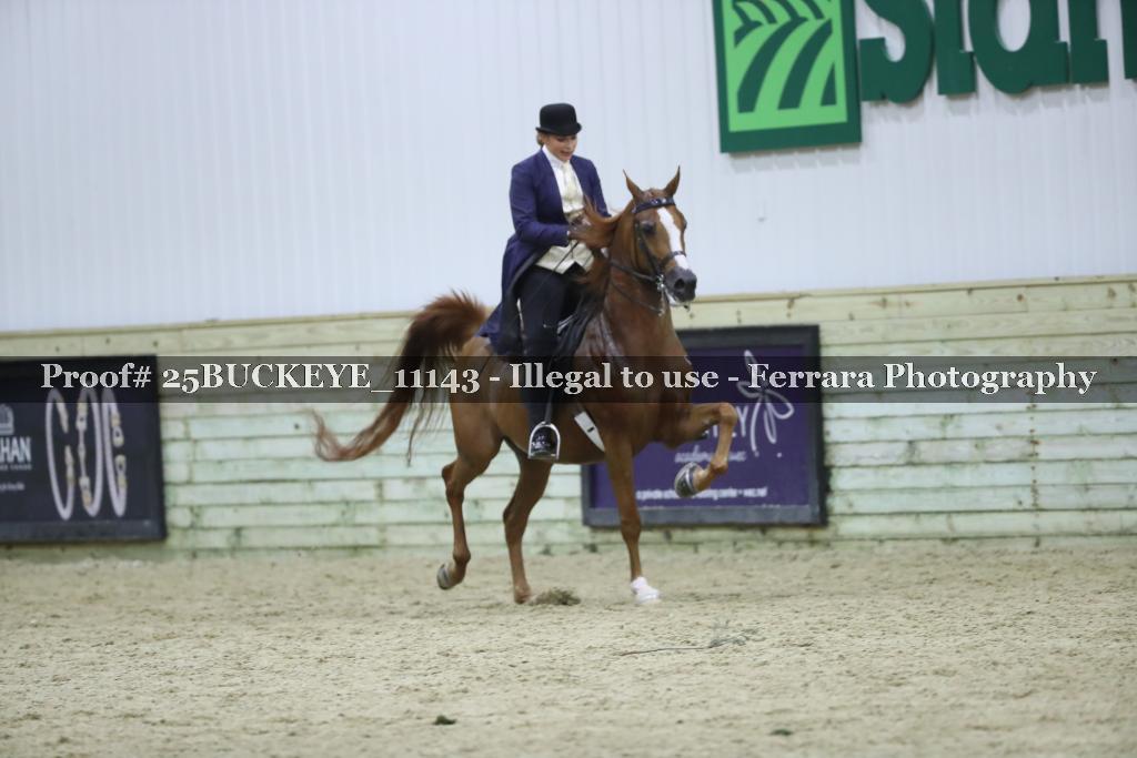 Proof Number 25BUCKEYE_11143