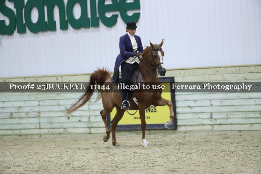 Proof Number 25BUCKEYE_11144