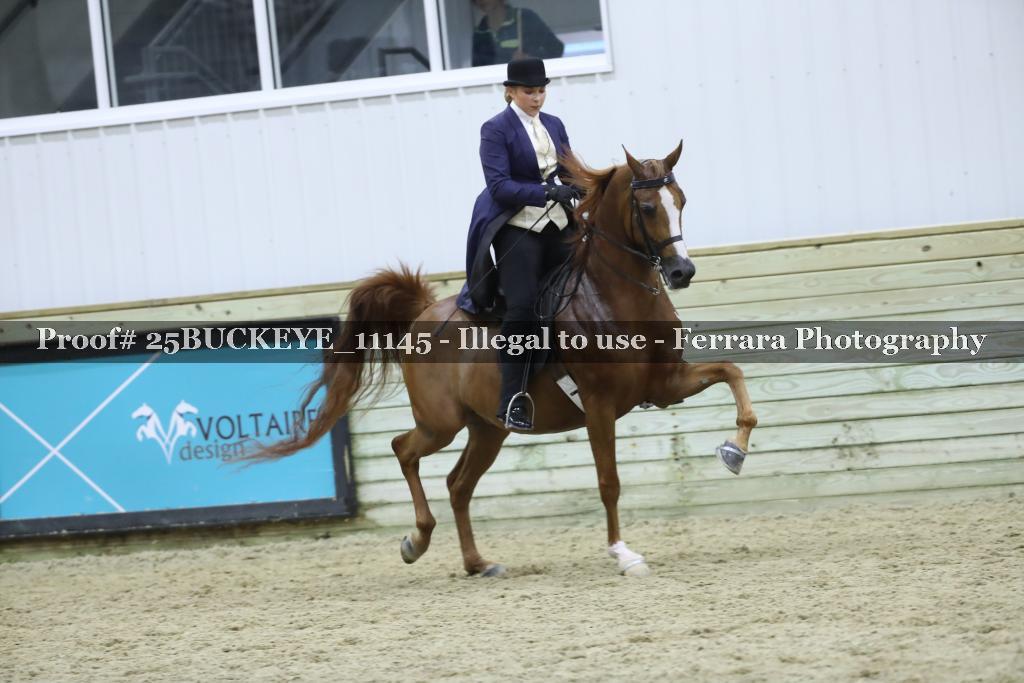 Proof Number 25BUCKEYE_11145