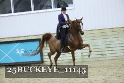 25BUCKEYE_11145 thumbnail