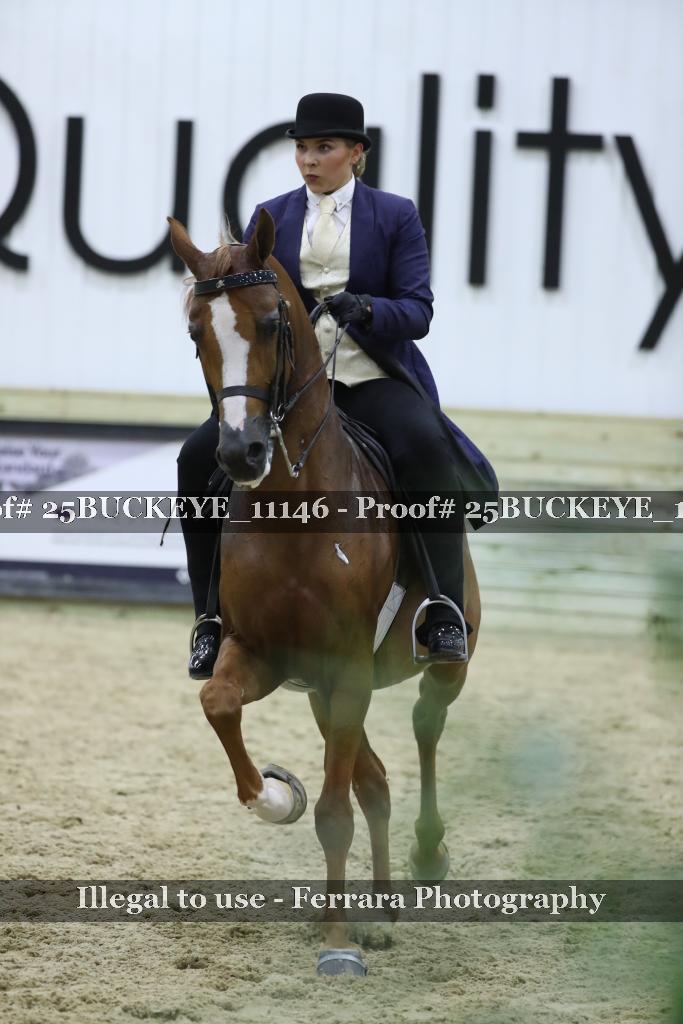 Proof Number 25BUCKEYE_11146
