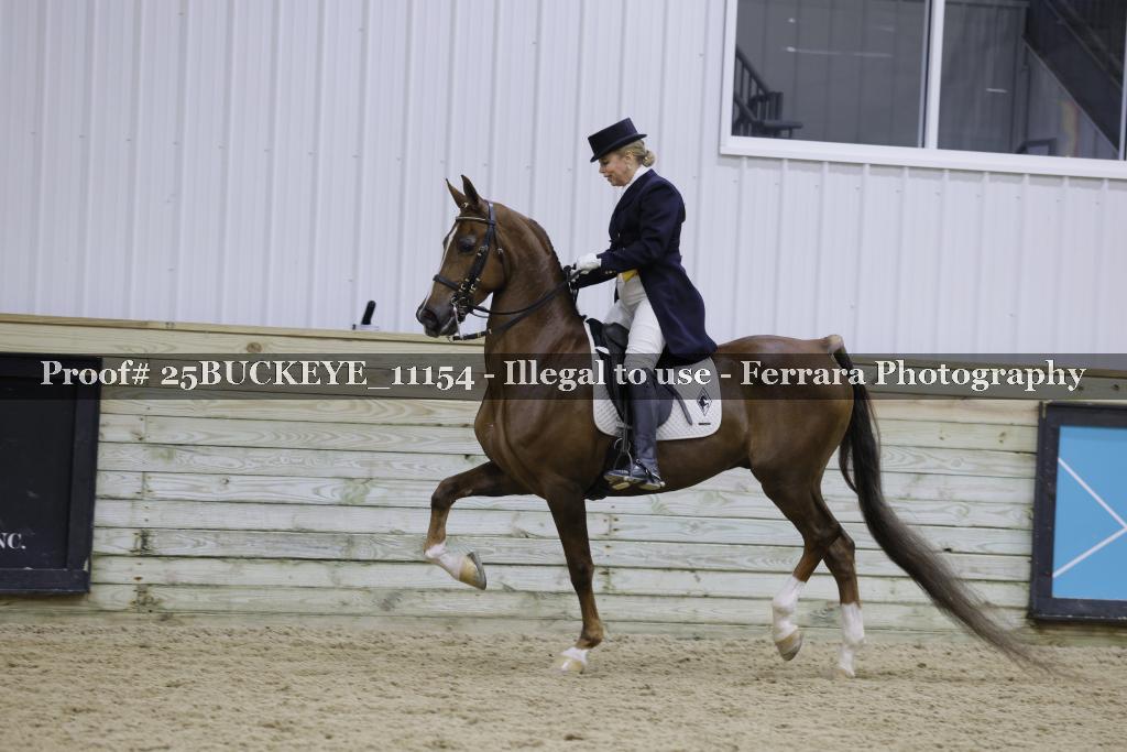 Proof Number 25BUCKEYE_11154