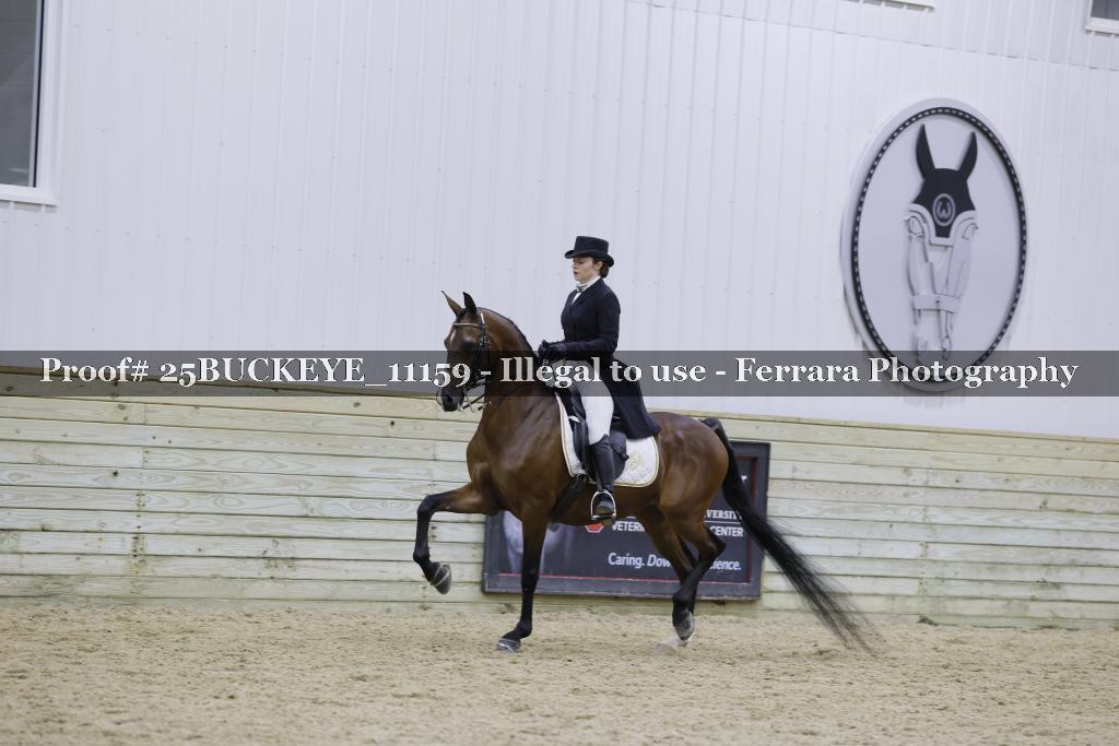 Proof Number 25BUCKEYE_11159
