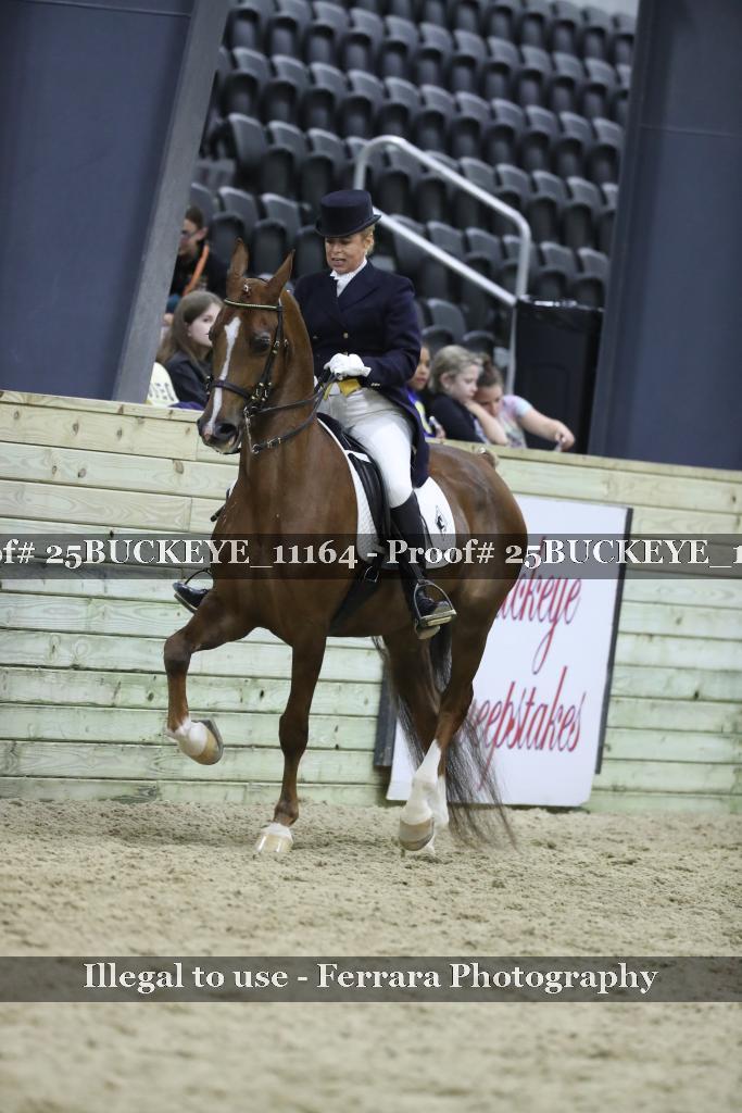 Proof Number 25BUCKEYE_11164