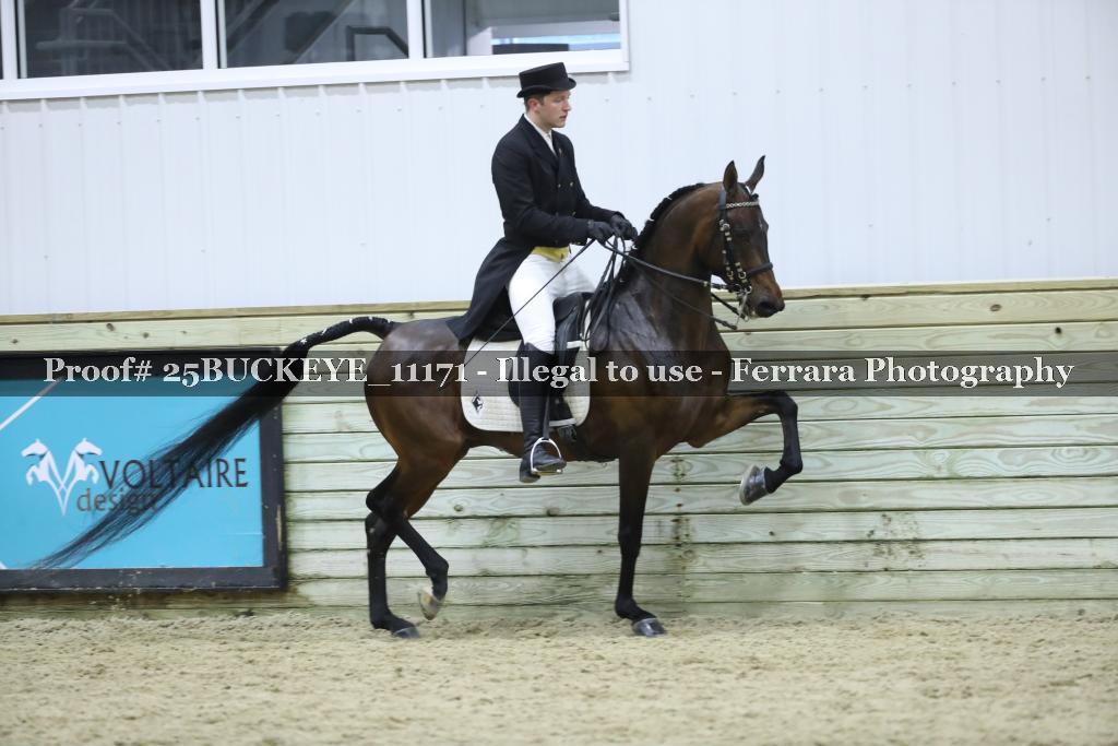 Proof Number 25BUCKEYE_11171