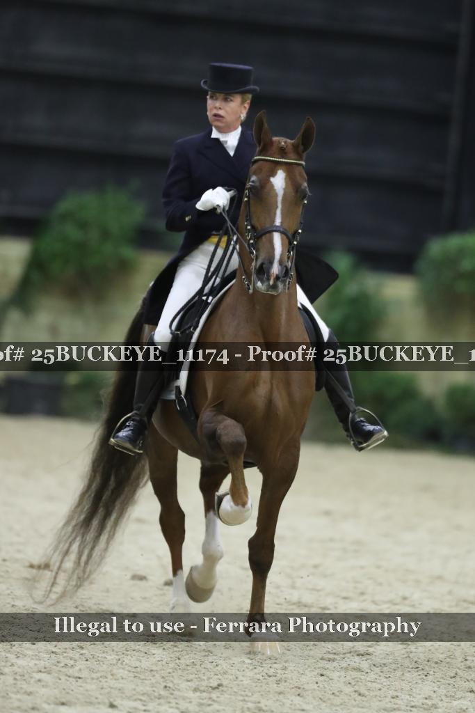 Proof Number 25BUCKEYE_11174