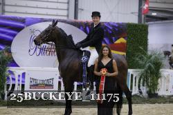 25BUCKEYE_11175 thumbnail