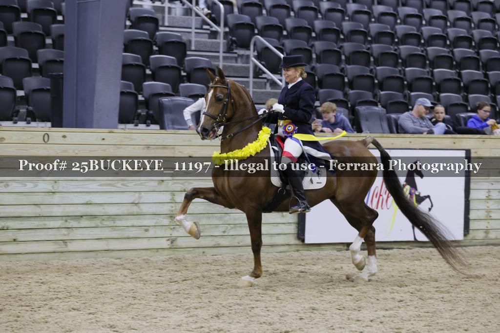 Proof Number 25BUCKEYE_11197