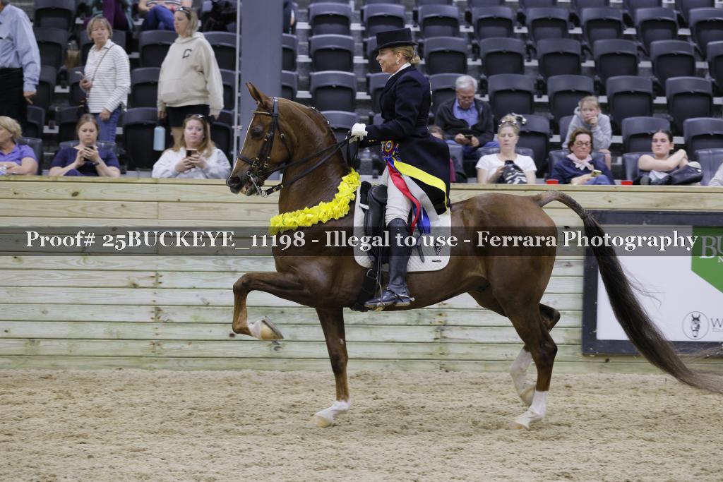 Proof Number 25BUCKEYE_11198