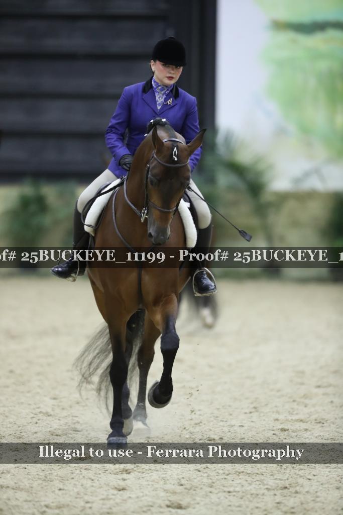 Proof Number 25BUCKEYE_11199