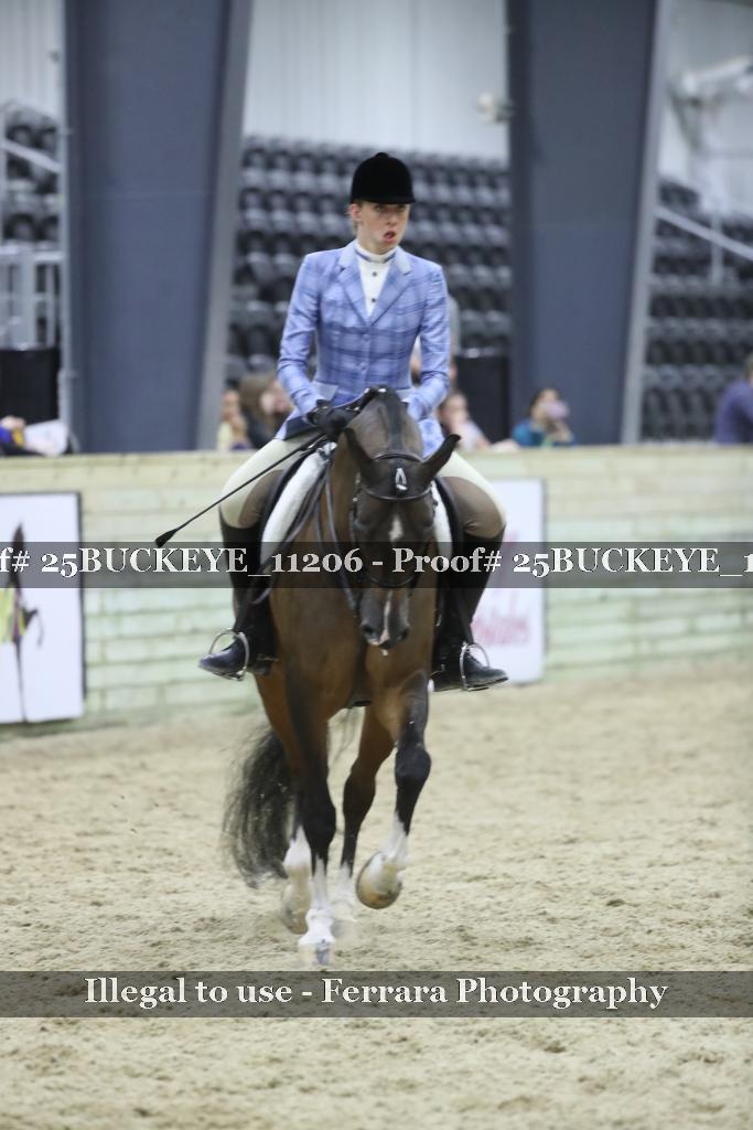 Proof Number 25BUCKEYE_11206