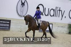 25BUCKEYE_11207 thumbnail