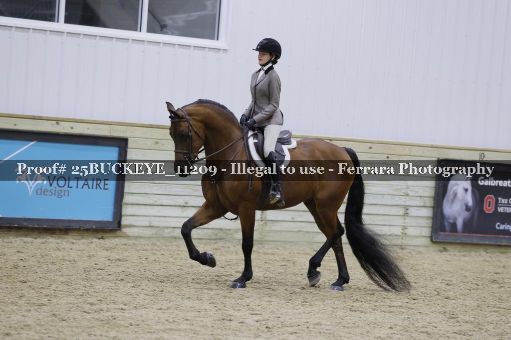 Proof Number 25BUCKEYE_11209